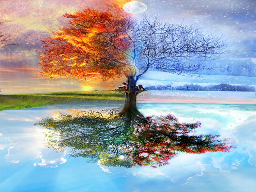 316620 (a): :1024x768